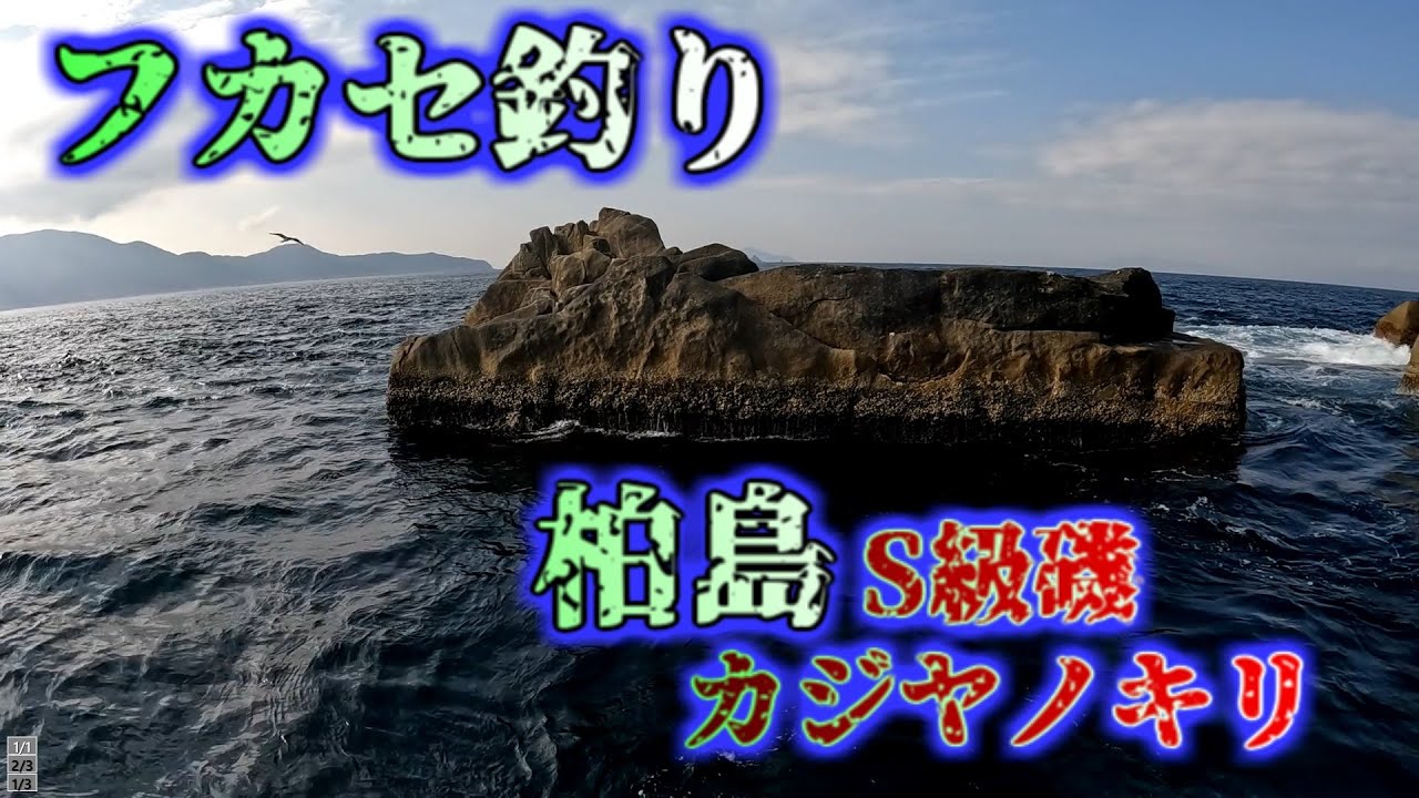 フカセ釣りテスト釣行１