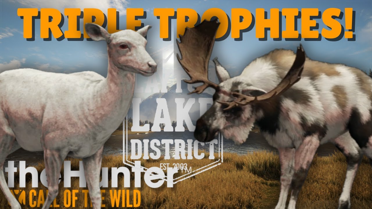 I Accidentally Joined Lady Legend and Got 3 TROPHIES! | theHunter: Call of the Wild