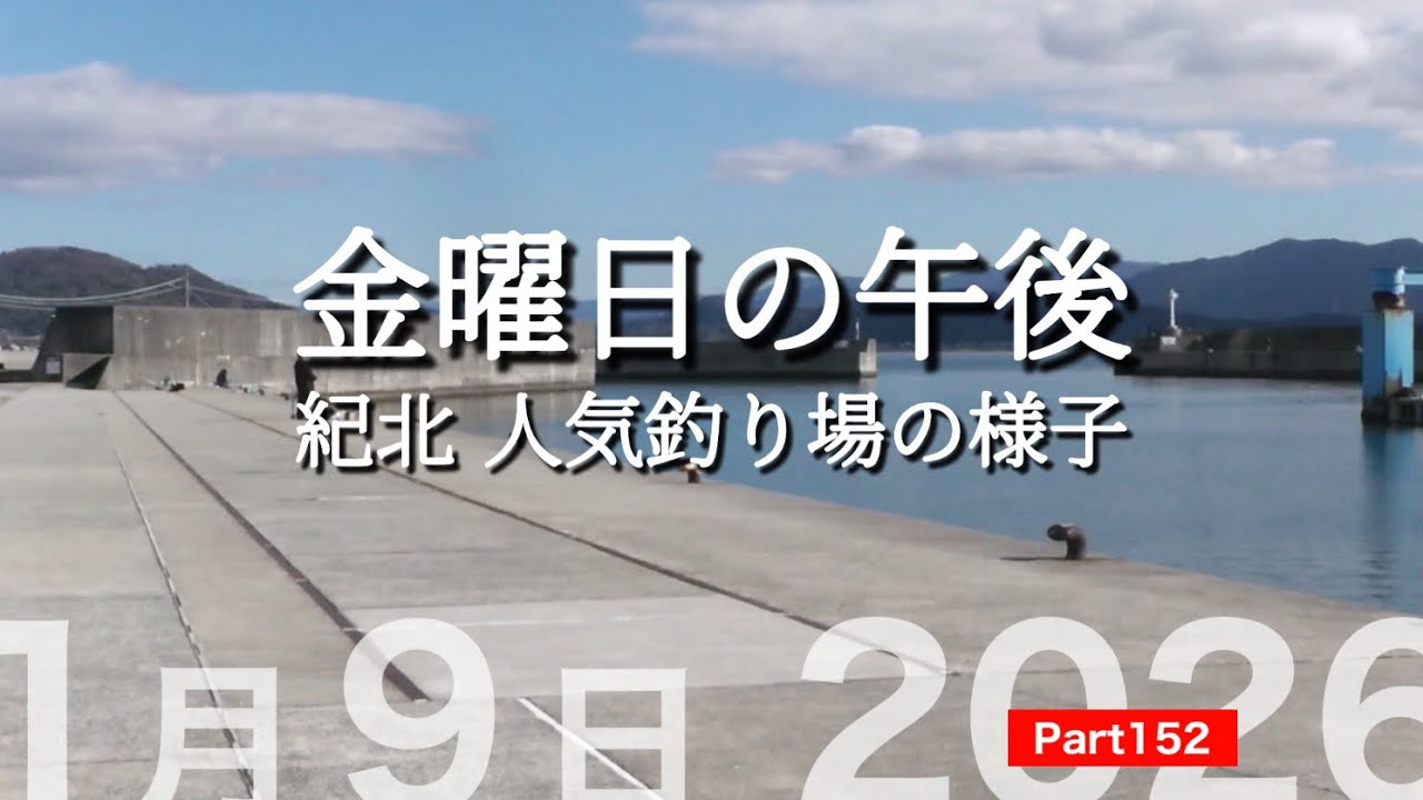 【田ノ浦漁港 雑賀崎漁港】久しぶりに人気の釣り場へ…😵🐡🙄Part 152 #和歌山釣り#アジ釣#田ノ浦漁港#雑賀崎漁港#紀ノ川河口