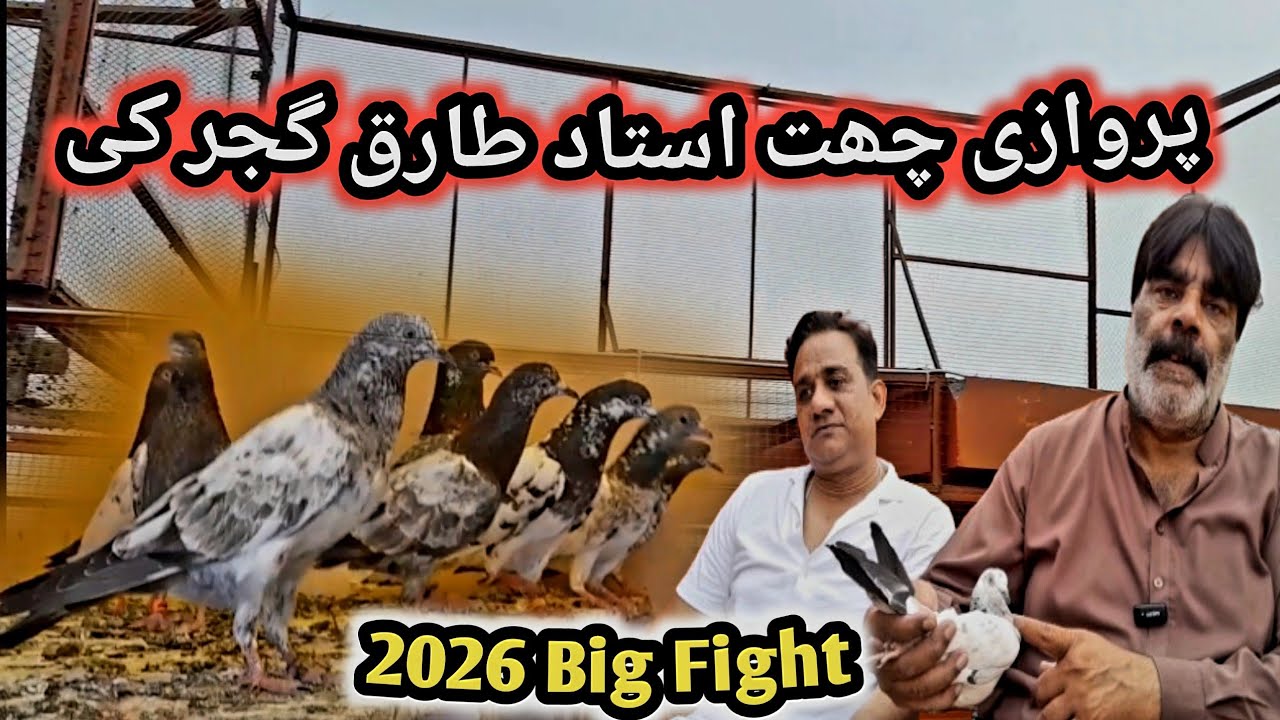 2026 K liye Ustad Tariq Gujjar ki chat Ready 🤲🏻