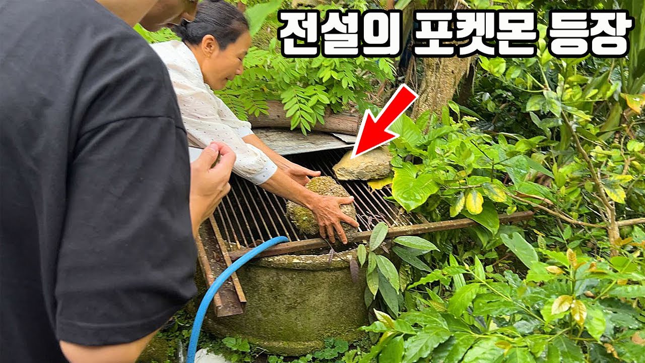 이게 실존하는 거였군요 ㄷㄷ 치앙마이 정글속에서 우연히 마주친 놀라운 생명체!!
