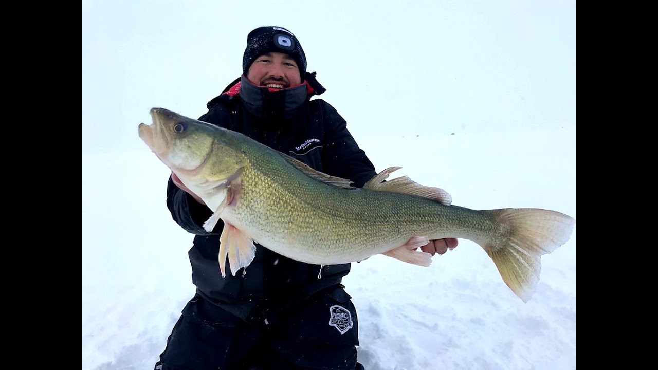 GIANT Lake Winnipeg Greenback Walleyes with Blackwater cats Outfitters (31