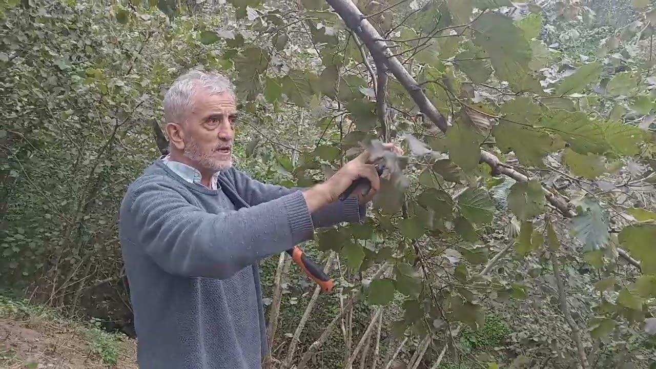 ÜÇÜNCÜ DERS : BUDAMANIN TEMEL İLKELERİ 1.                                05304227933