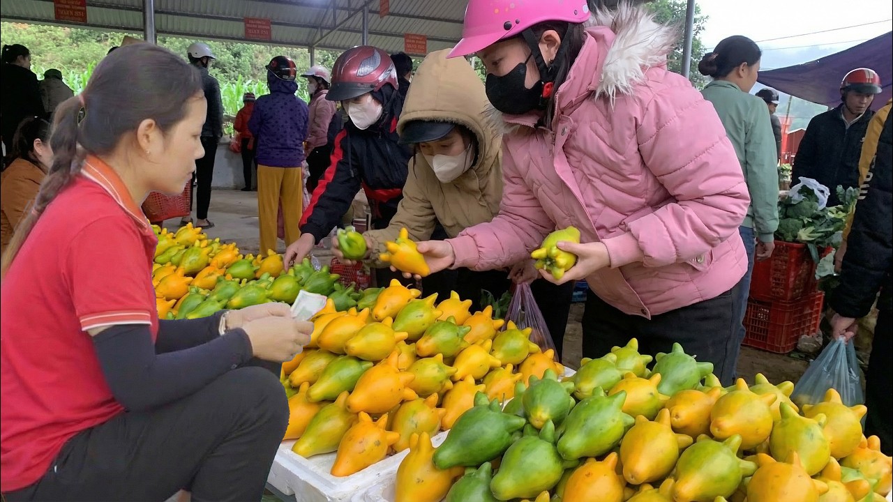 Harvesting Rare Foxglove Fruits in the Forest | People Scramble to Buy Them at the Roadside Market