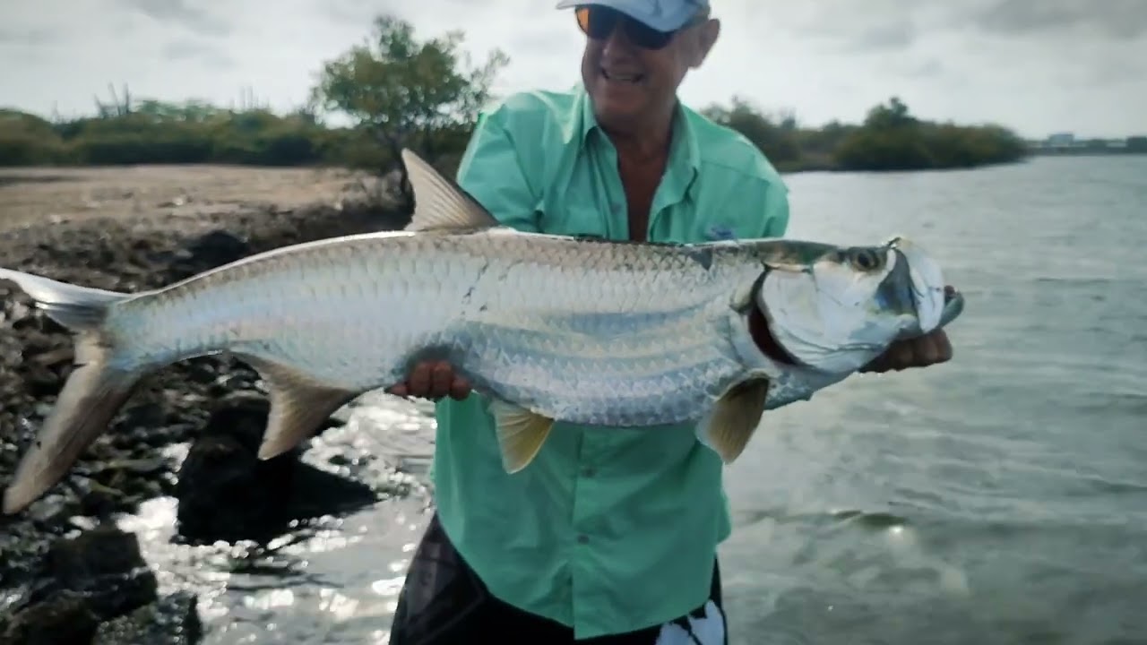 tarpon fishing curacao