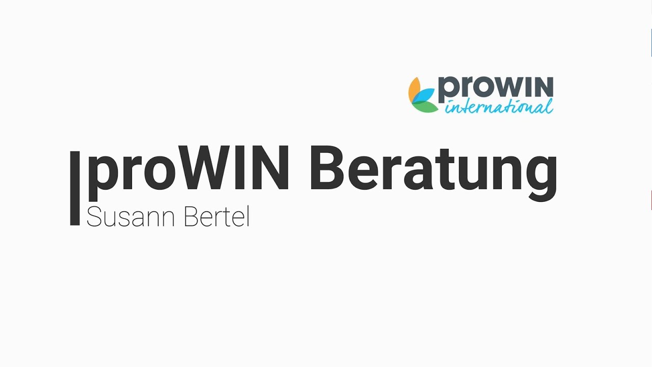 proWIN Window Wonder in Action