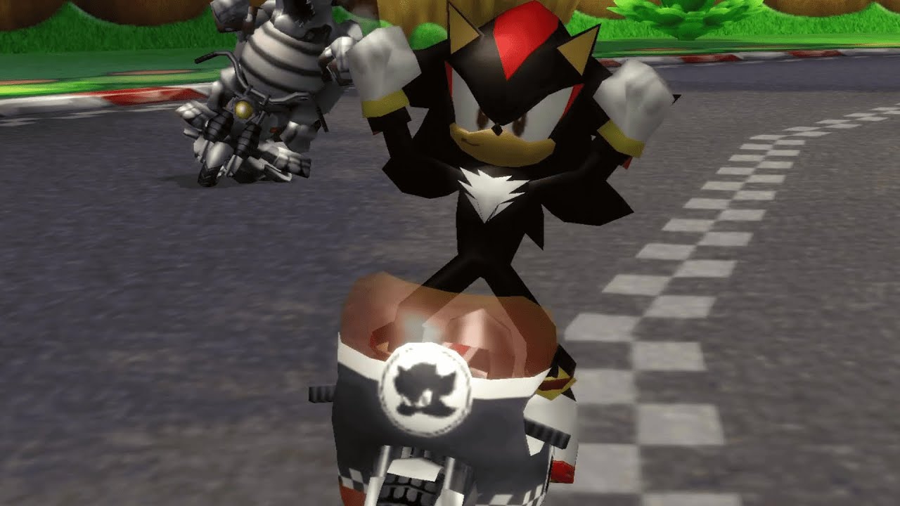 Shadow the Hedgehog in Mario Kart Wii