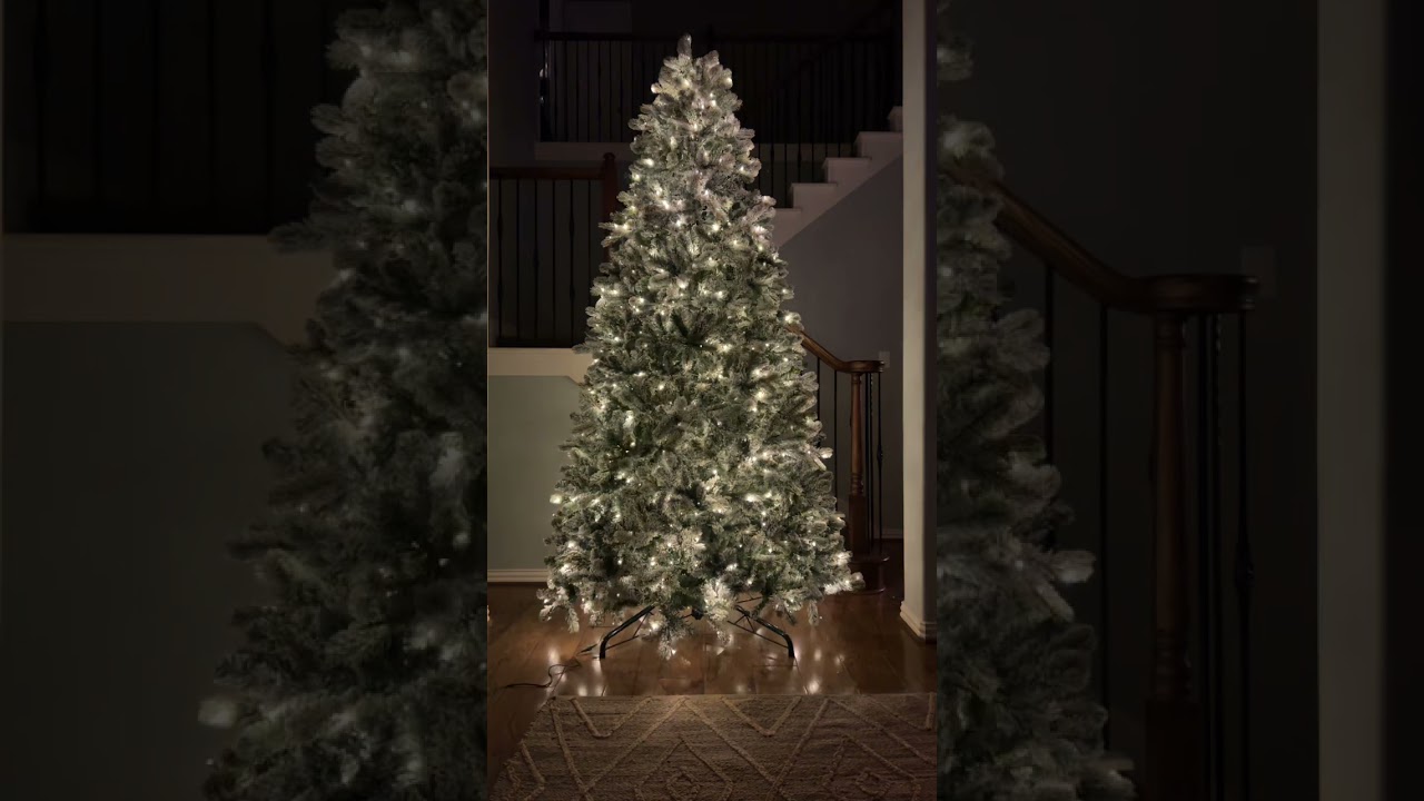 King of Christmas 9ft pre-lit King flocked tree😍🎄❤️ #kingofchristmas #christmastree