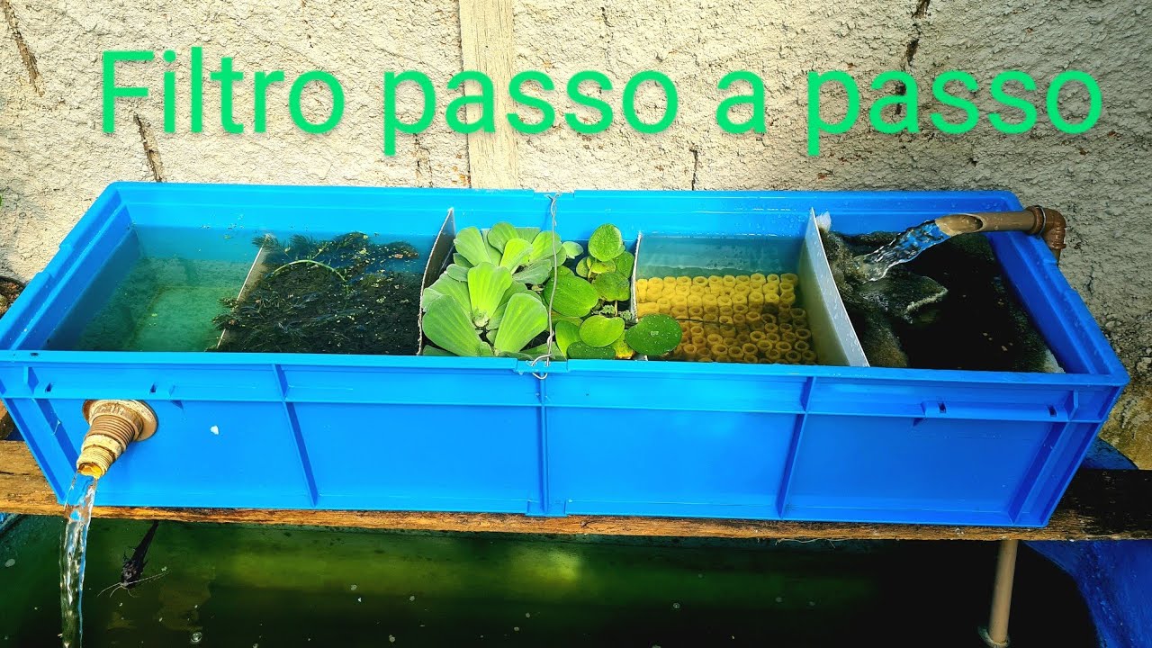 FILTRO PARA CRIAÇÃO DE PEIXES PASSO A PASSO...