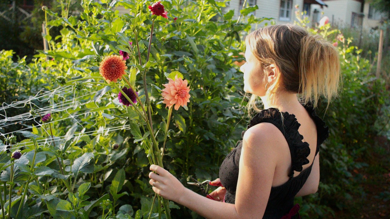 How this mother built a dream business from her own backyard