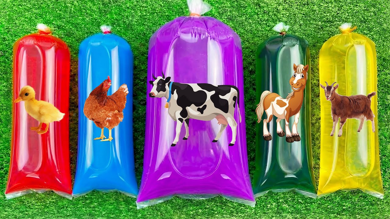 Wadidaw UNBOXING Hewan, Sapi, Bebek, Ayam, Kuda, Kambing,