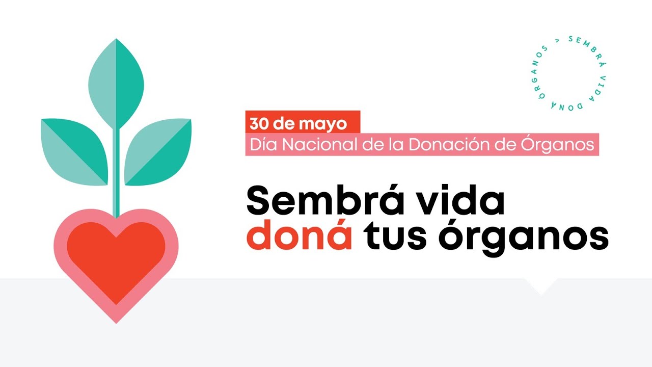 Diccionarios - Día Nacional de la donación de órganos 2023