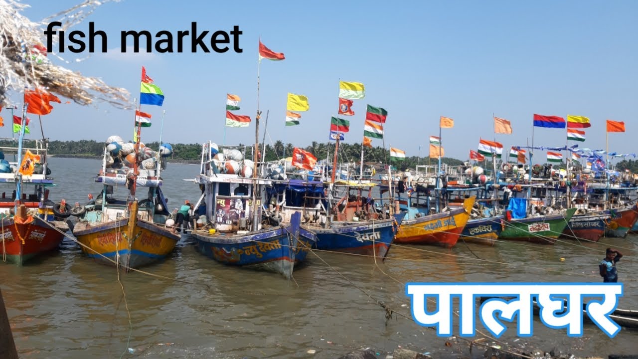 fish market, fish market palghar, wadrai fish bazar#palgharfishmarket #wholesale fish bazar