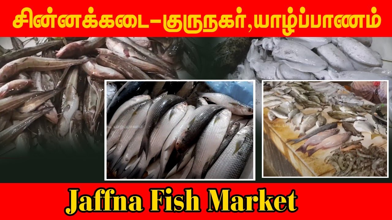 Fish Market |மீன்சந்தை - சின்னக்கடை, குருநகர்.