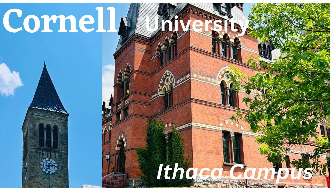 CORNELL University📍New York - Explore Central Campus  | Sage Hall | McGraw Tower | libi Slope