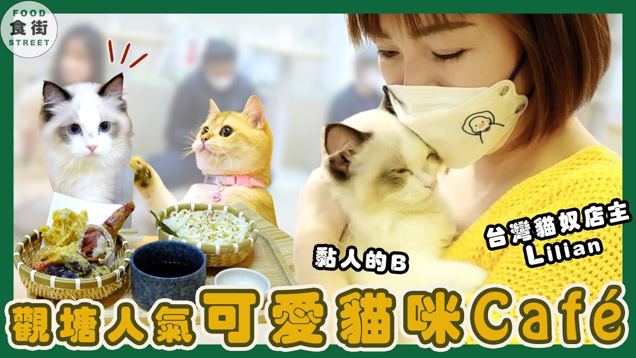 #食街｜【觀塘人氣貓Cafe】 日式料理有驚喜!!