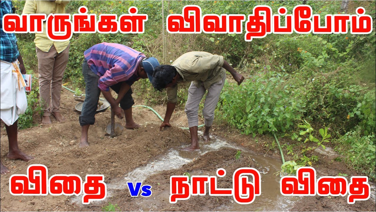 விதை என்றால் என்ன? நாட்டு விதை என்றால் என்ன? விவாதிப்போம் வாருங்கள் What is a seed simple definition