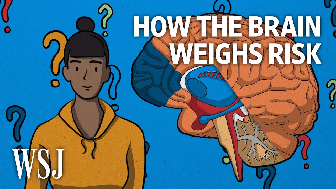 How the Brain Weighs Risk as Covid-19 Restrictions Ease | WSJ