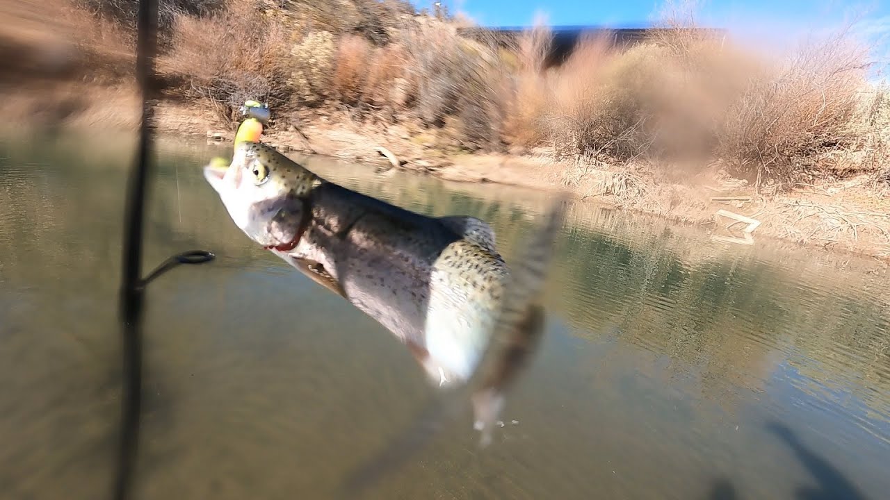 Underspin Trout Fishing in an Unexpected Place
