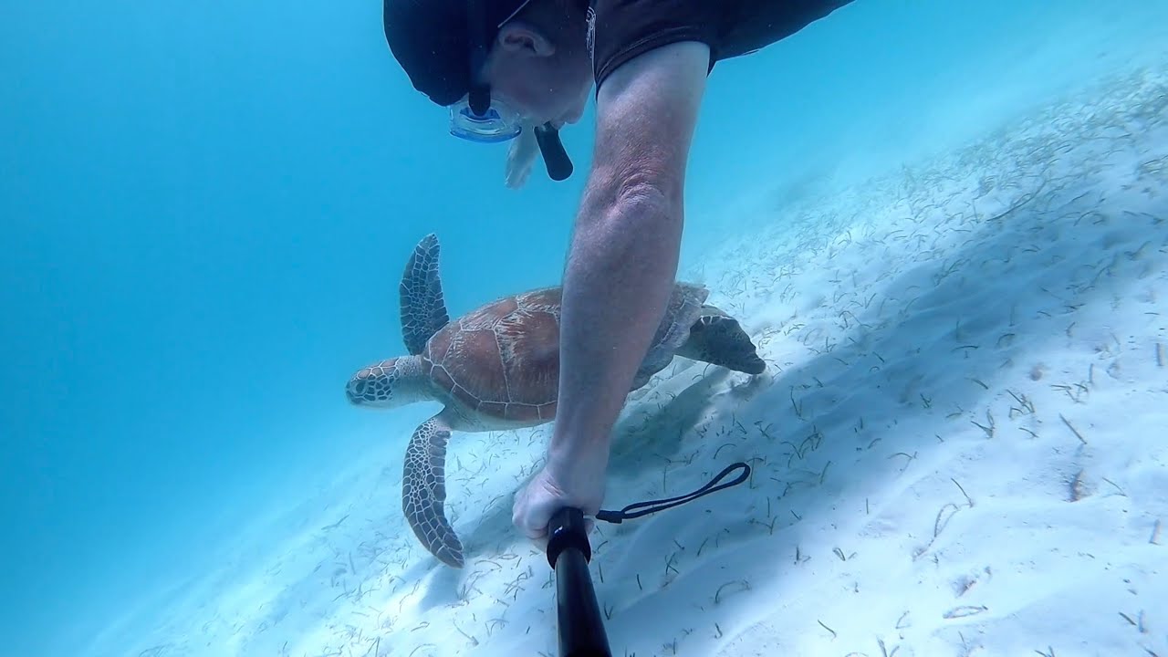 2019 01 21 Pacific Explorer, Isle of Pines, New Caledonia