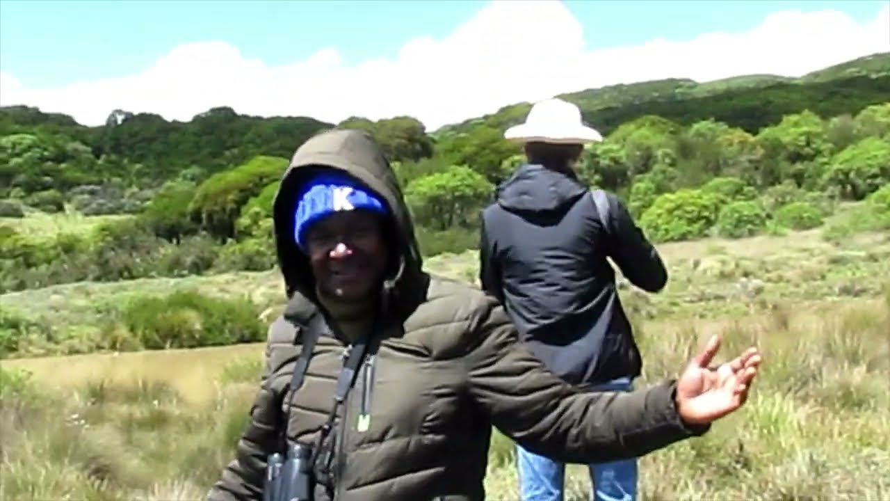 Does true nature really exists?   ABERDARE NATIONAL PARK -     BIRD WATCHING IN KENYA