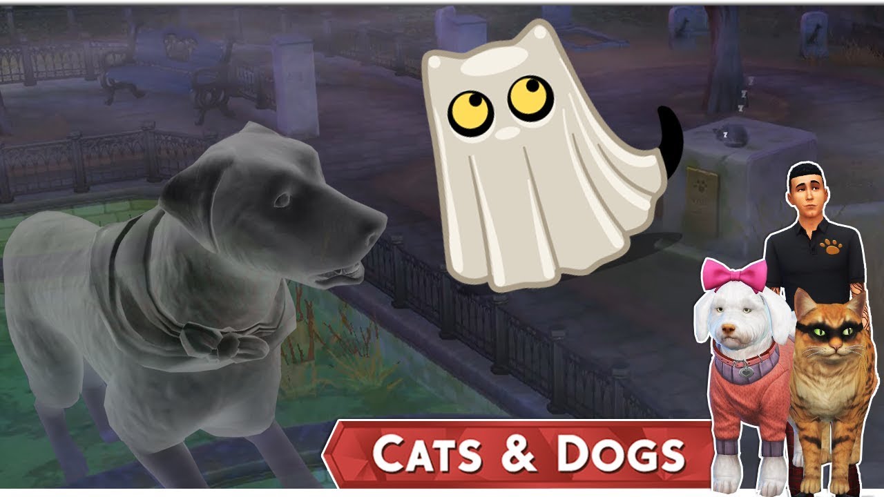 Az Állati Meló 🐕 - Kisállat temető!👻 - 17. rész (Cats and Dogs)