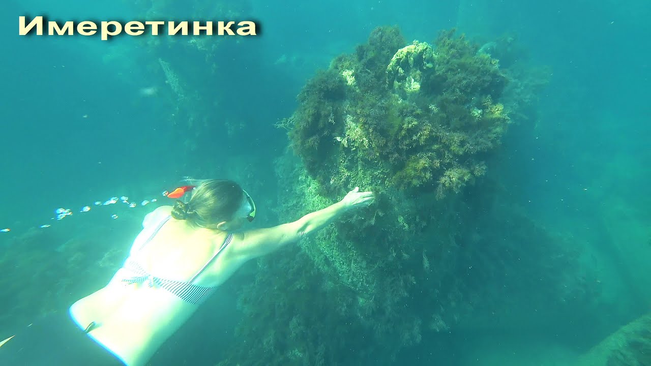 АДЛЕР. ИМЕРЕТИНКА. ТЁПЛОЕ МОРЕ. ПОДВОДНЫЙ МИР.