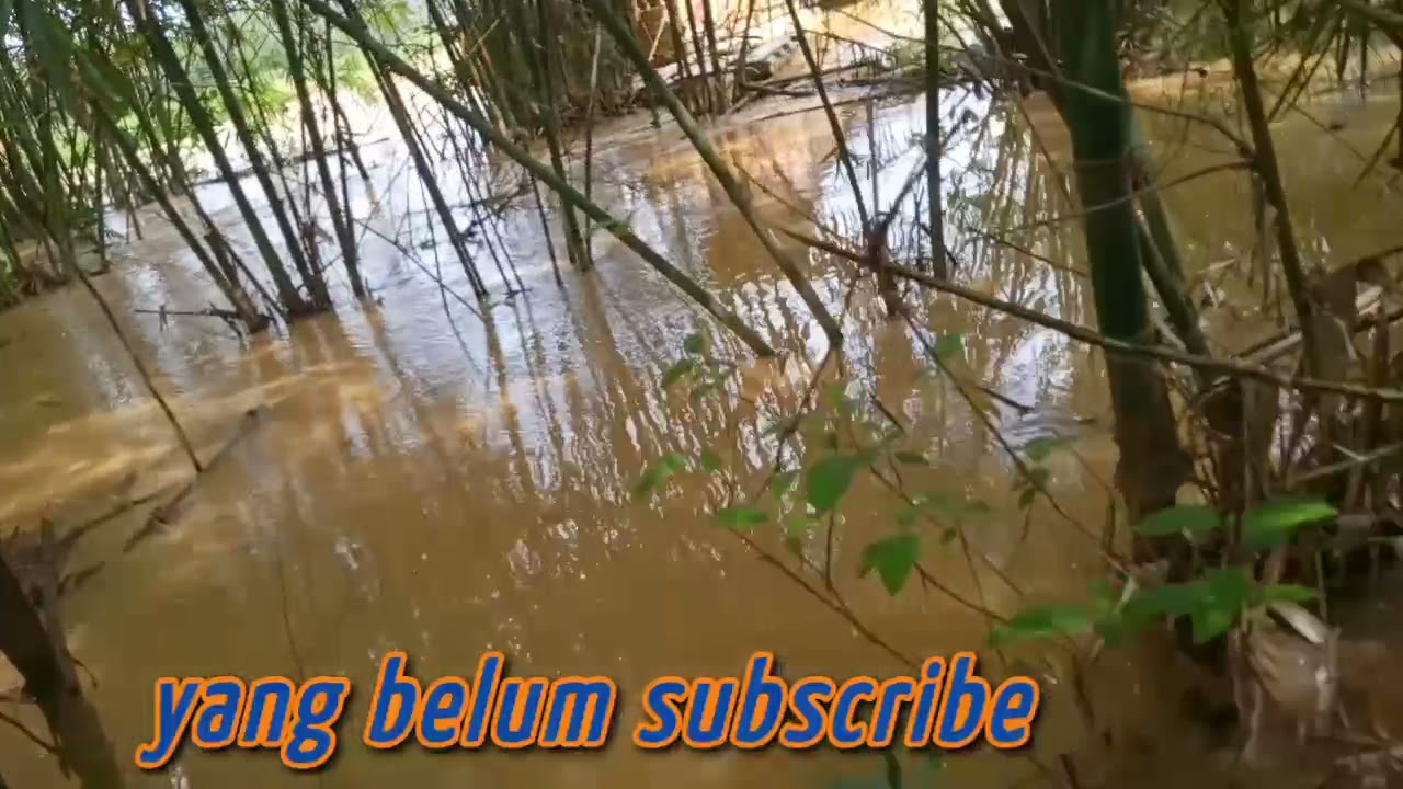 kerja tambang emas 3 Lanting Lagi Banjir
