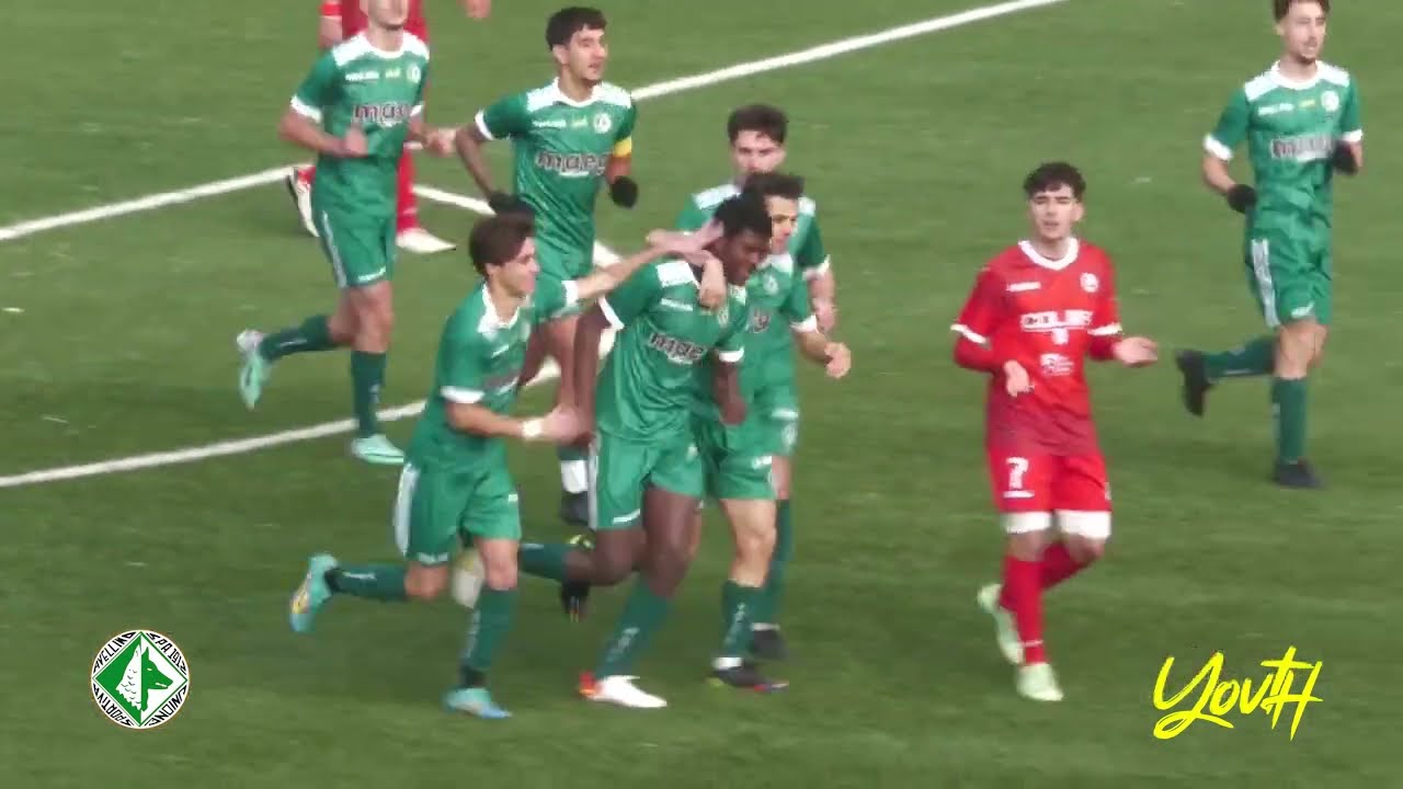 Avellino vs Turris 1-1 | Youth Primavera 3 | 16.12.23