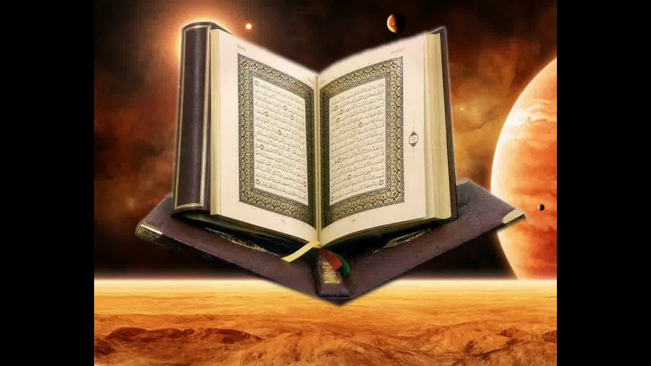 حلم وجهل الجزء الأول