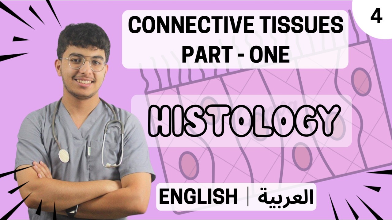 Histology: Connective tissues Part -01 | les tissus conjonctifs - English