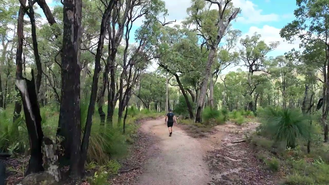 Mundaring Weir and John Forrest National Park