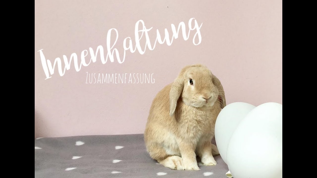 Innenhaltung- Kaninchen in der Wohnung halten?
