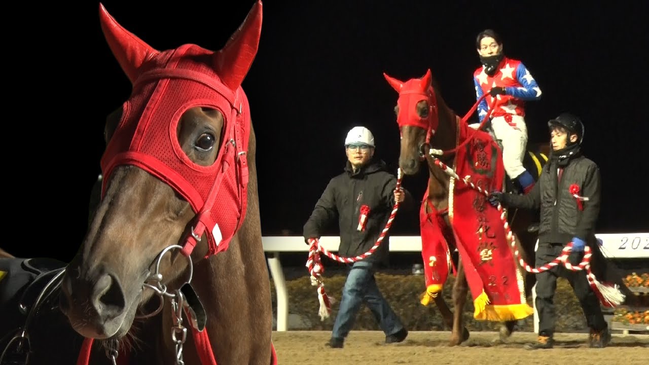 アタック！地方競馬｜第304回｜ありがとう　スピーディキック（浦和）｜NAR公式