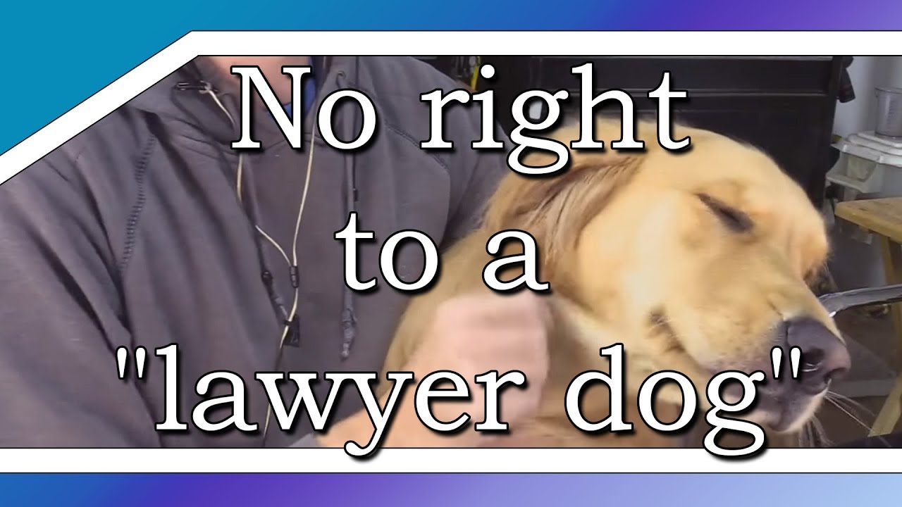 Judge says man asked for 