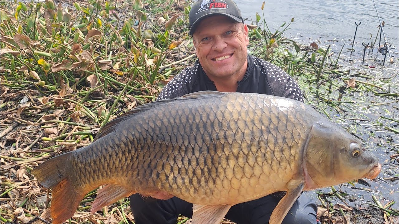 Epic Papgooi Sessie by Harties met n Mooi Two Tone Karp aan die Einde!