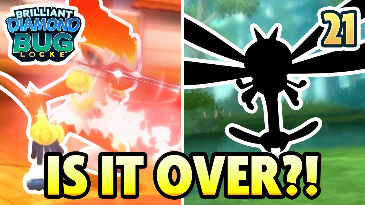 How I found YANMA and then GOT DESTROYED...