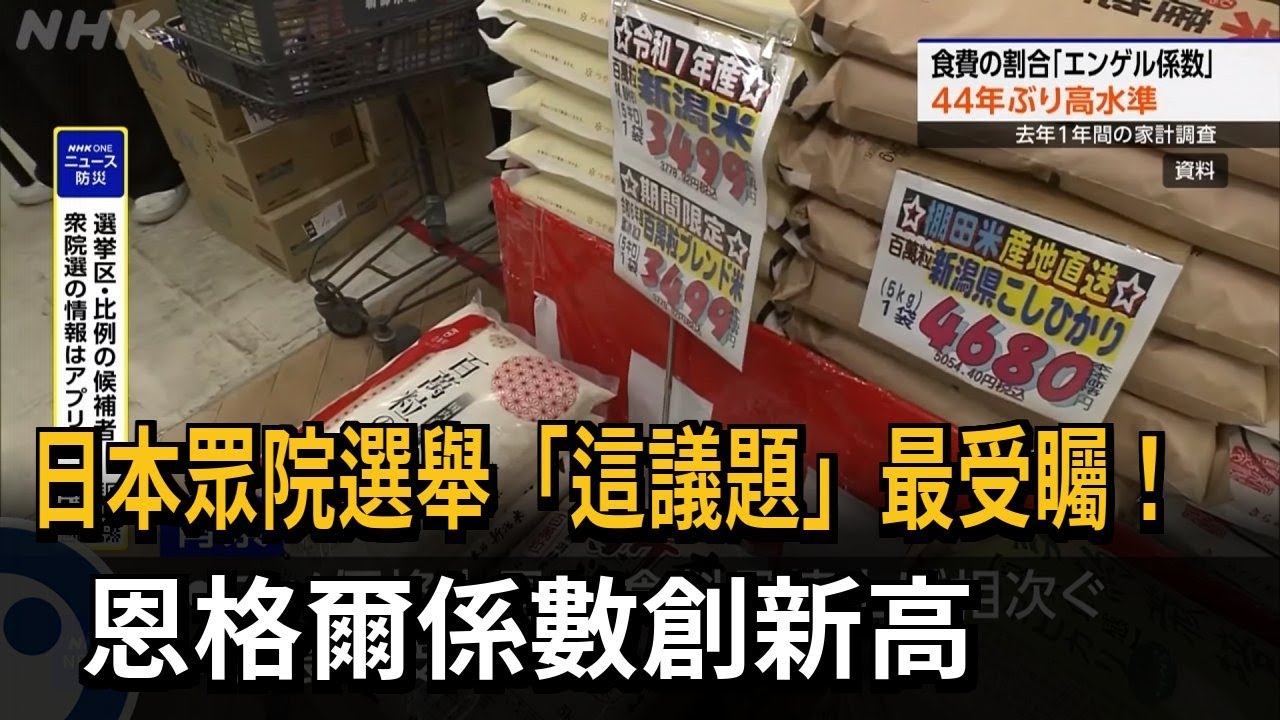 日眾院選舉選民關注民生! 飲食占家庭支出創新高－民視新聞