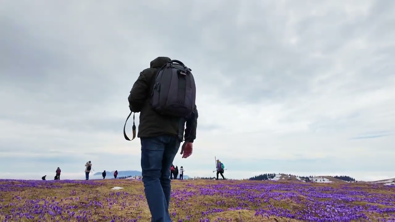 Velika planina - Slovenija