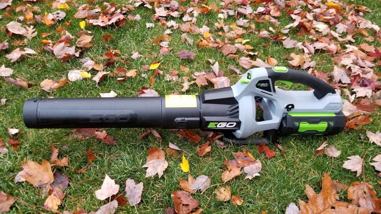 Ego LB5300 Handheld Blower 530 CFM: Quick Demo Video