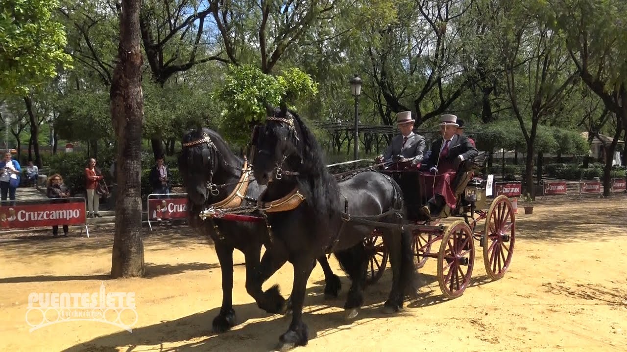 (1/3) XXXII Exhibición de Enganches de Sevilla 2017. En el Prado de San Sebastián.