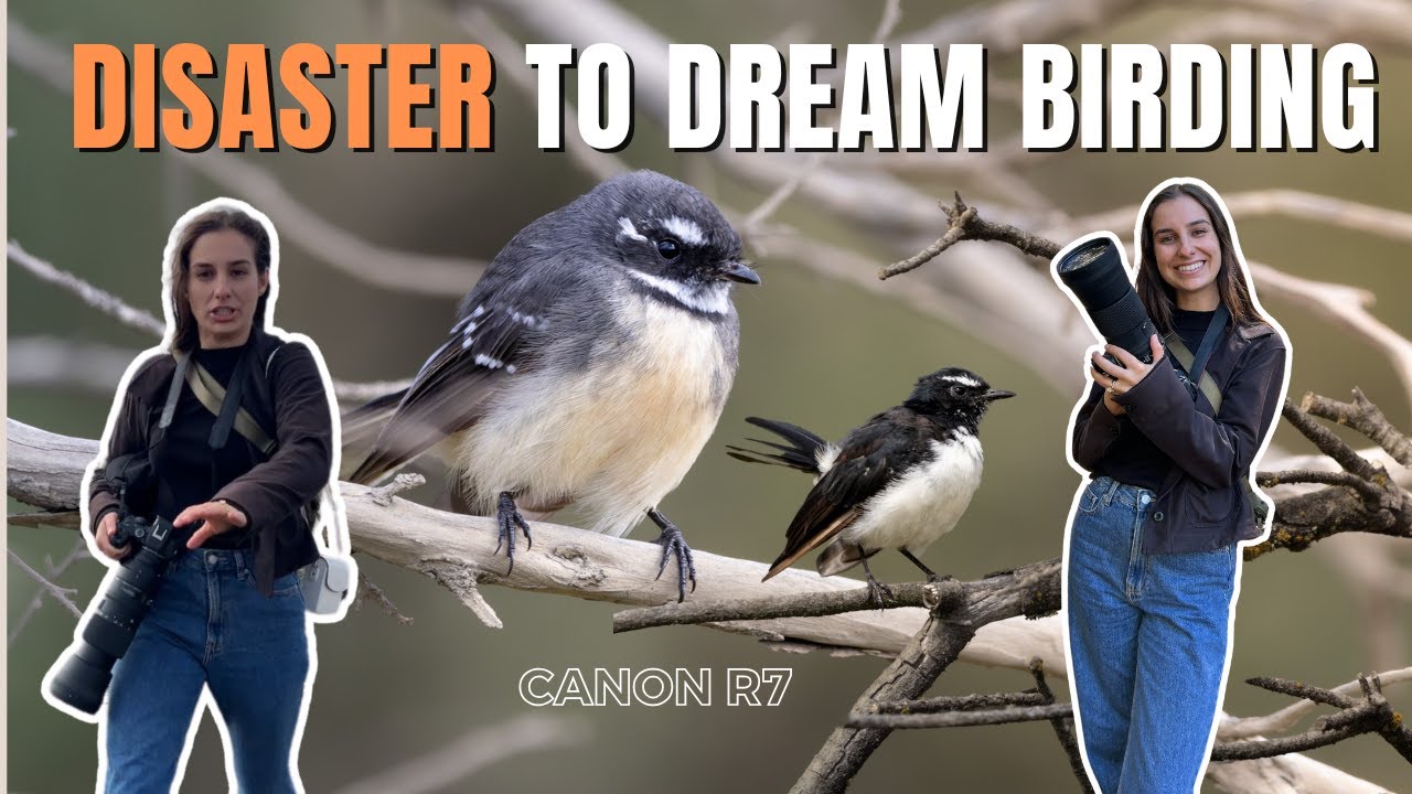From Disaster to Dream Shots: Finding Lifers at Point Cook Coastal Park: Bird Photography, Canon R7