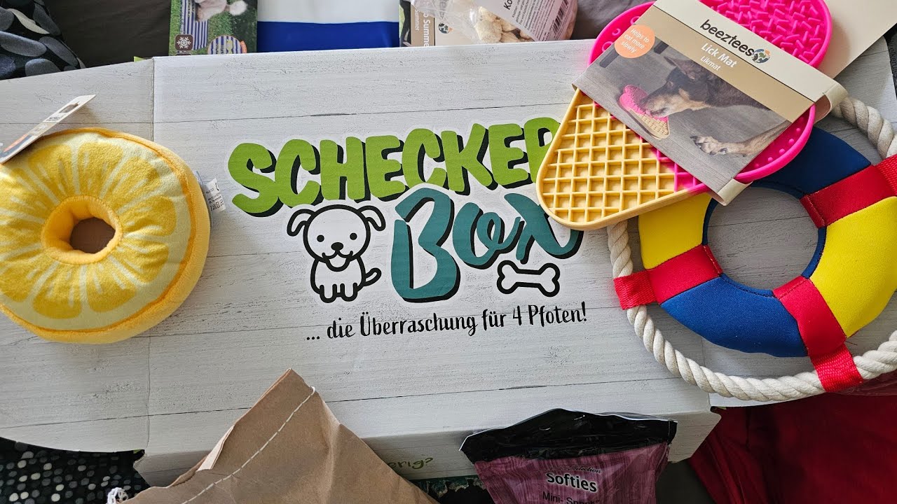 Schecker Sommerbox - Überraschungsbox für Hunde