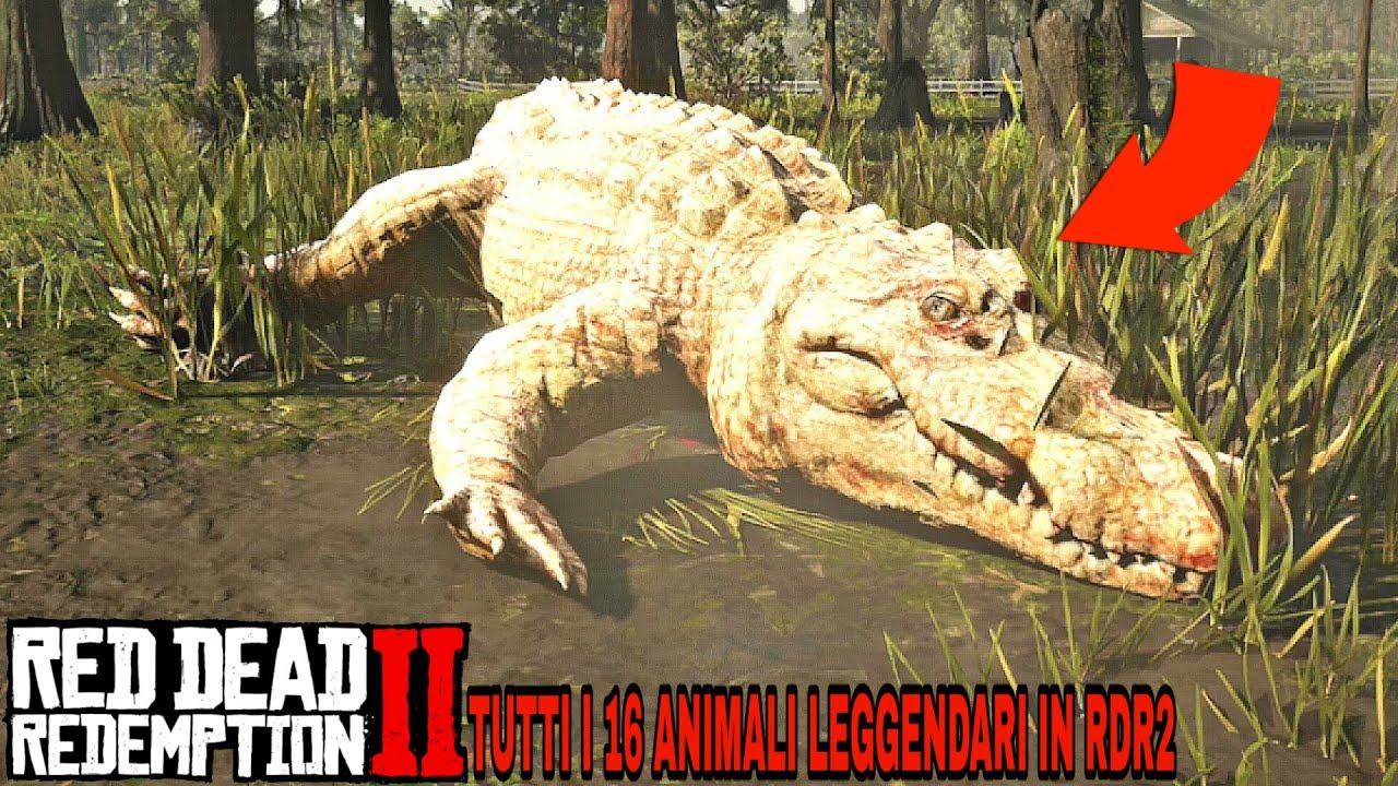 RED DEAD REDEMPTION 2 - DOVE TROVARE TUTTI GLI ANIMALI LEGGENDARI! - ALL 16 LEGGENDARY ANIMALS ITA