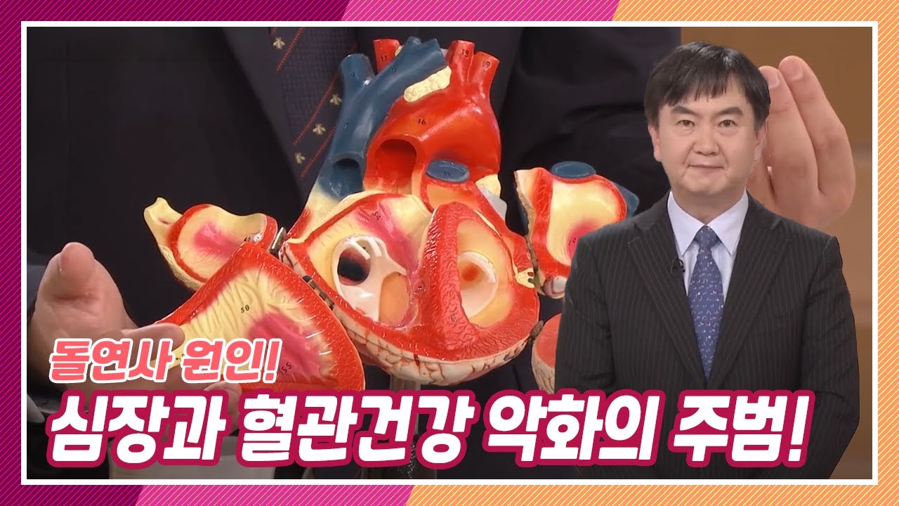 [무엇이든 물어보세요] 돌연사 원인! 심장과 혈관 건강 악화의 주범 | KBS 220104 방송