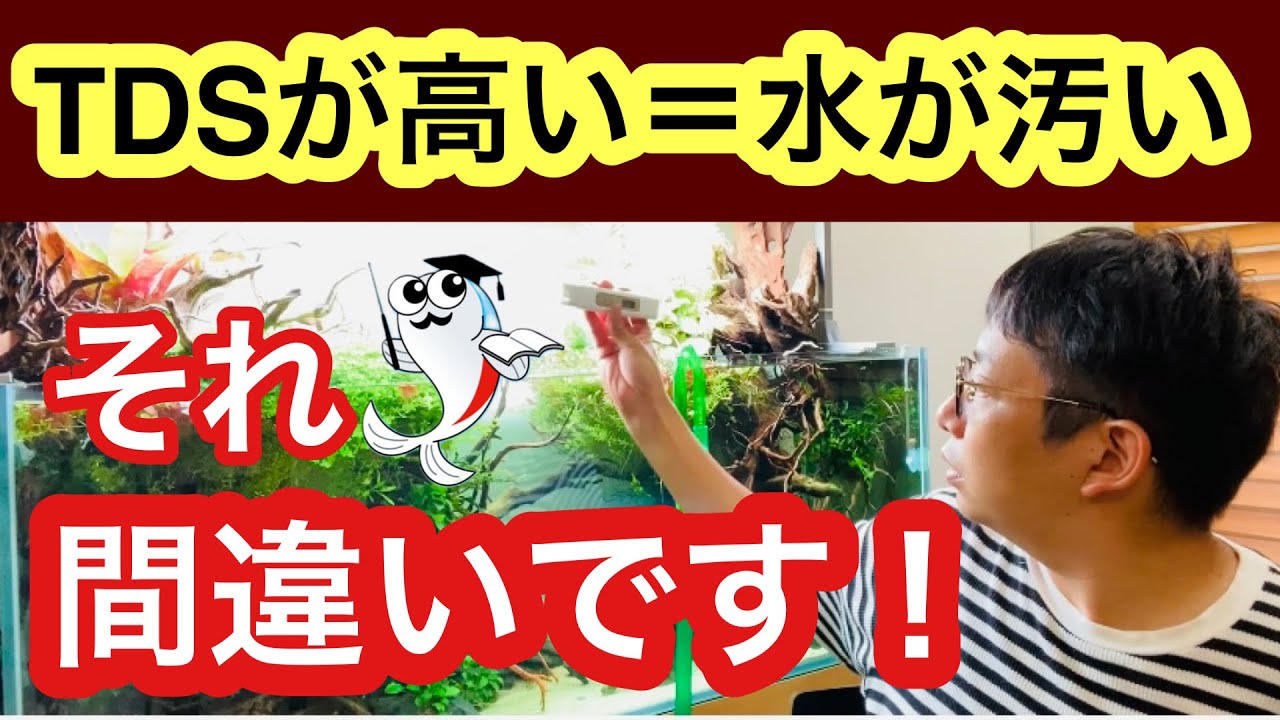 【TDSって何?】水槽管理になぜTDS値が重要なのか解説します!