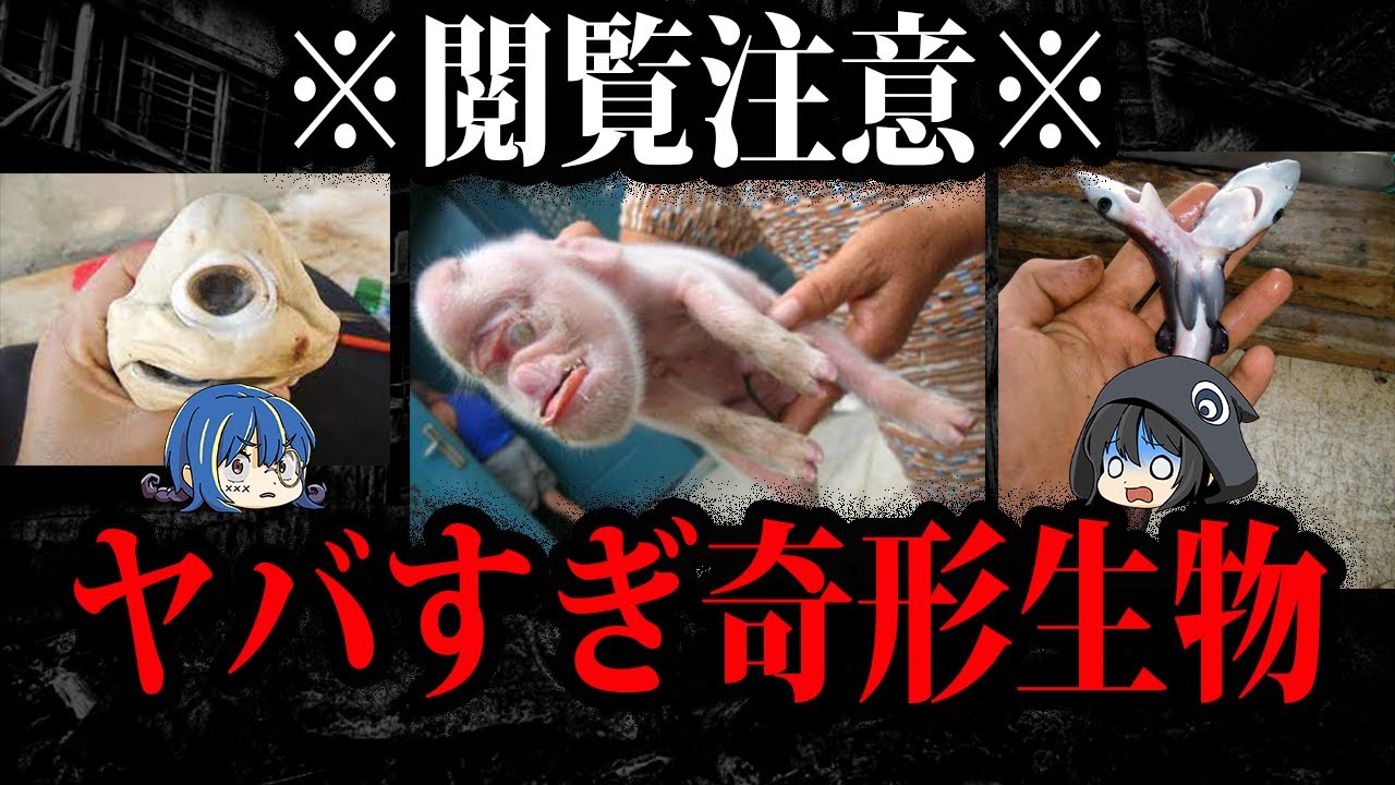 閲覧注意！突然変異で生まれた奇形生物１０選【ゆっくり解説】