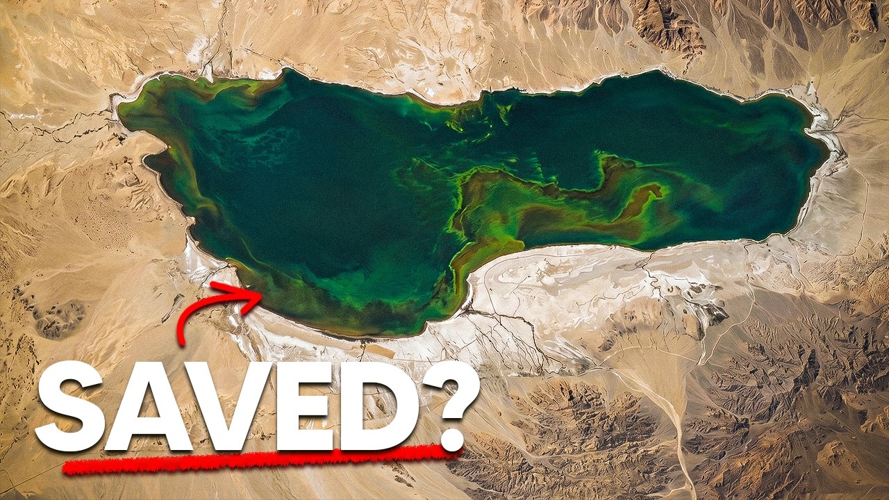 How California Is Turning America's Most Toxic Lakebed Into An Oasis