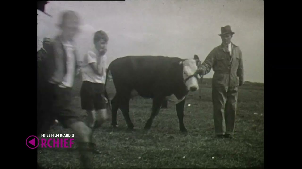 Boeren; Koeien; Draverij, 1930-1949