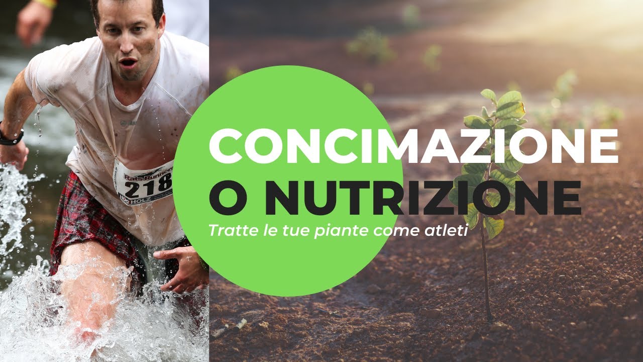 Concimazione o Nutrizione - Le piante sono come gli atleti!